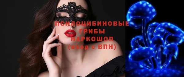 марки lsd Белокуриха