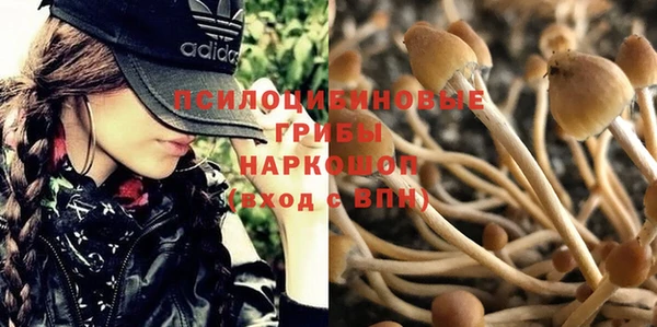 марки lsd Белокуриха
