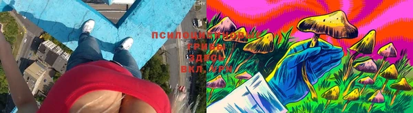 марки lsd Белокуриха