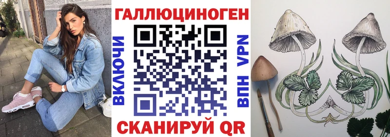 omg ссылки  Малая Вишера  Псилоцибиновые грибы MAGIC MUSHROOMS 